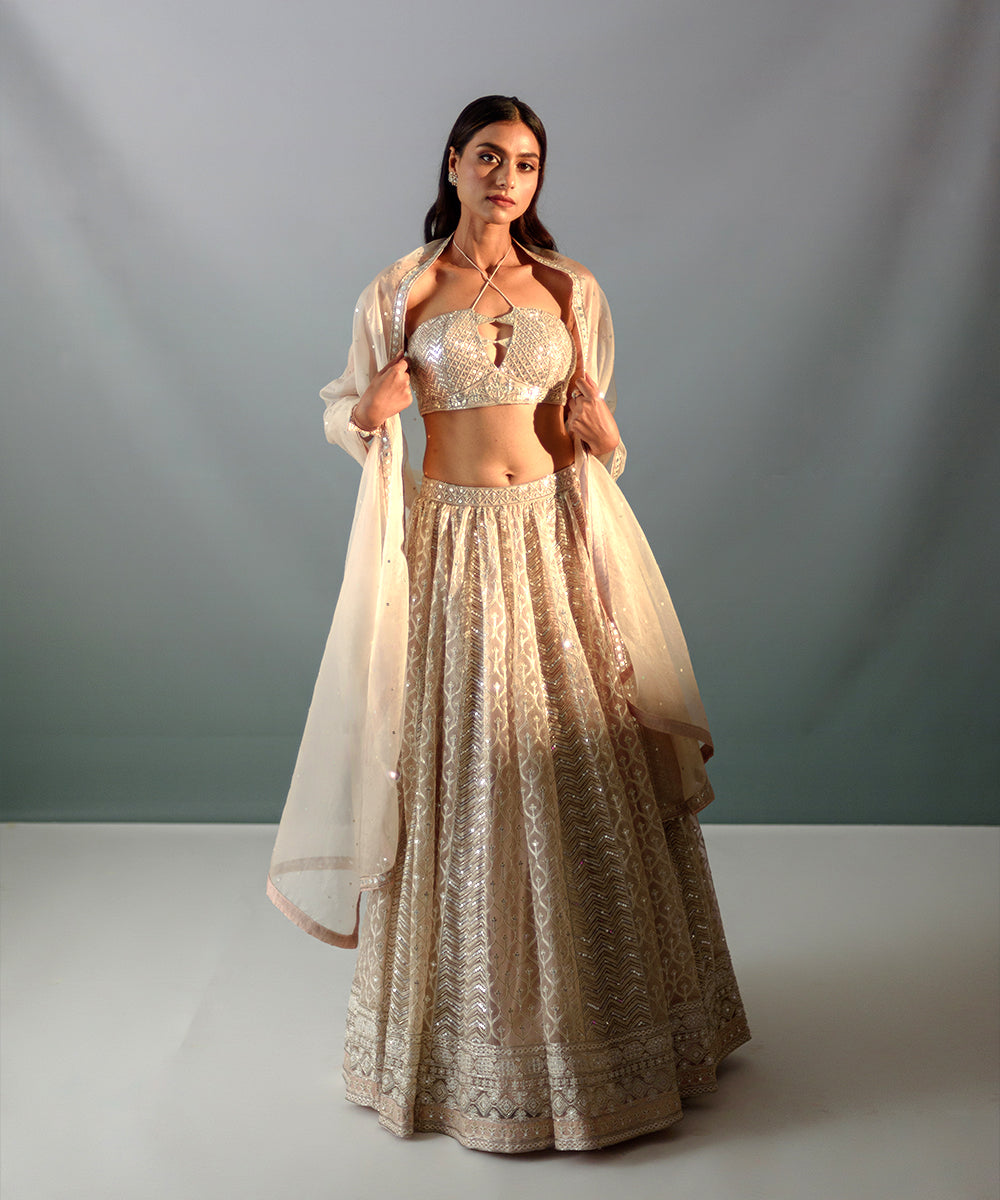 Nude Embroidered Lehenga Set