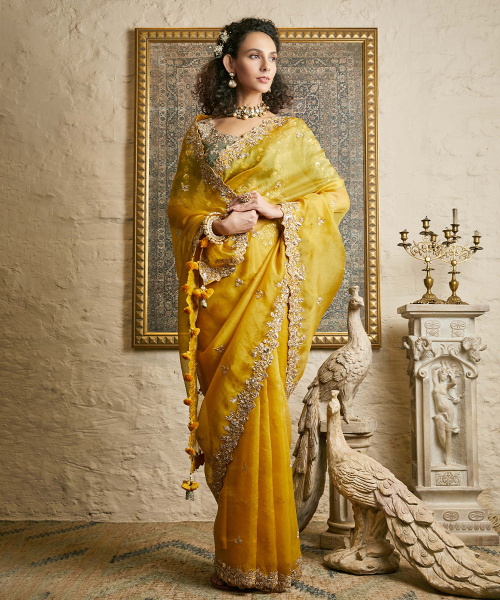 Chaniwa saree