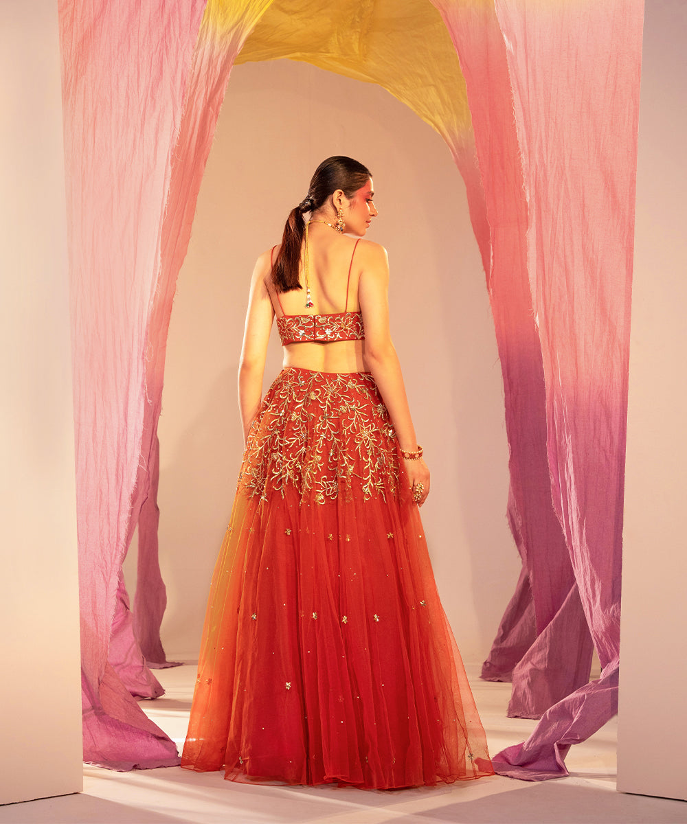 Embroidered V-hem bustier lehenga and embroidered dupatta set